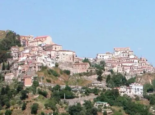 Ordinanza del sindaco: "Vietato morire"