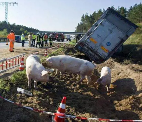 Nel giorno dell'esodo è caos sulle autostrade