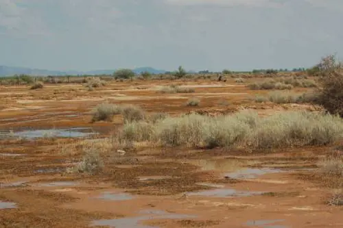 Una nuova crisi umanitaria minaccia l'Africa
