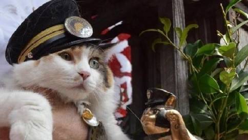Giappone, gatto diventa capostazione e divinità