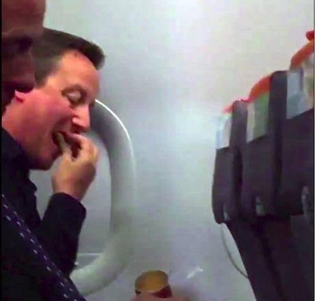 David Cameron vola low cost