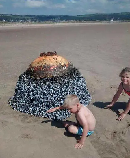 Giocano con una boa in spiaggia: scoprono che è una bomba