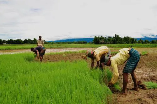 Bengalese chiede asilo all'Italia per "motivi climatici"
