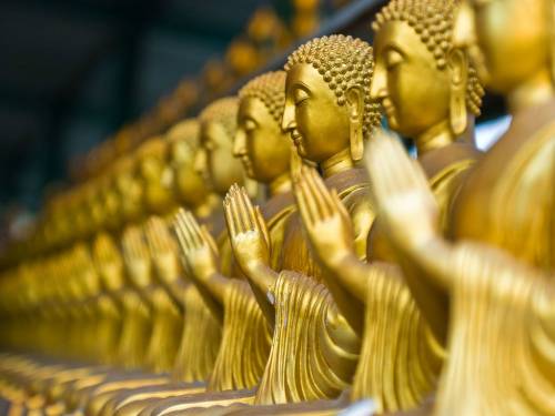 Dalle radici di un albero spunta la statua di Buddha