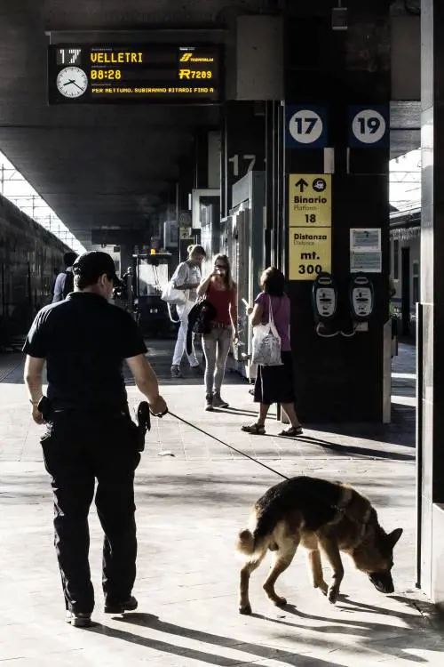 Controlli a Termini per il Giubileo
