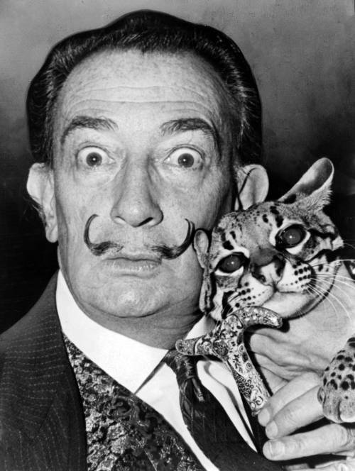 Dovrei sfidarti a duello, ma come artista ti capisco Firmato Salvador Dalí