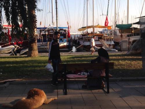 Bodrum, i bimbi dei profughi nel porto degli yatch