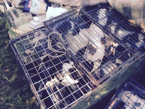 Il lager nel campo rom