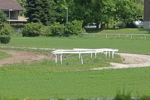 Buca killer all'ippodromo: in coma due fantini caduti