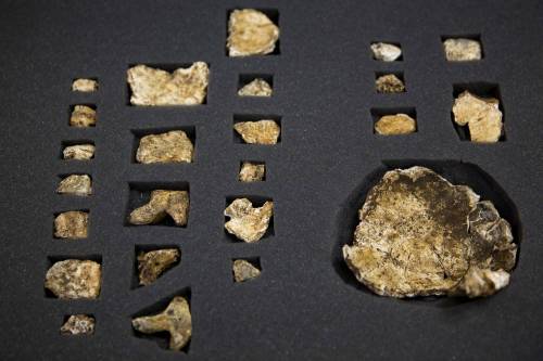 Filippine, scoperta la nuova specie umana vissuta 67mila anni fa