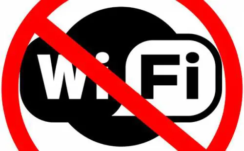 È allergica al Wi-Fi: ottiene 800 euro al mese di invalidità