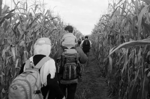 I profughi forzano il muro di Orbàn