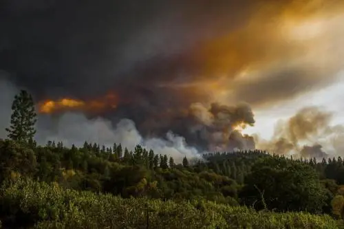 California devastata dagli incendi