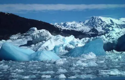 Rapporto Wwf, nel 2050 sparirà il Polo Nord