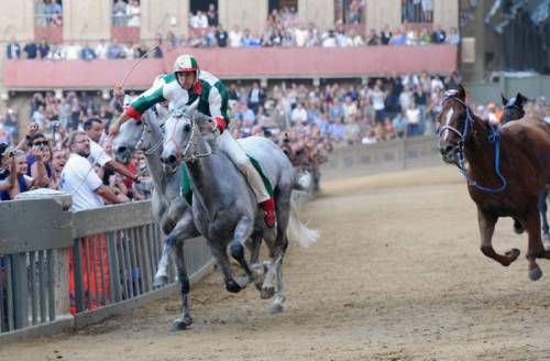 Niente Palio per la Regina Elisabetta "Se ci vuole può venire lei a Siena"