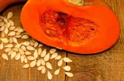 Le 10 sagre più buone di ottobre 2015