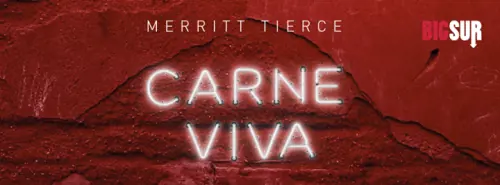 Un romanzo inciso a sangue nella "carne viva" dell'America