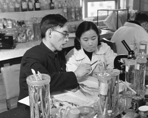 Il Nobel per la Medicina: "Ho abbandonato mia figlia in un orfanotrofio per studiare la malaria"