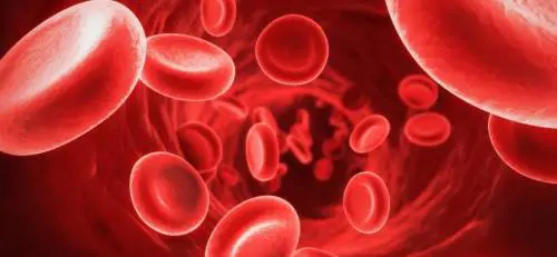 Bimbo salvato da allergia con il lavaggio del sangue