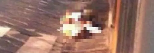 Sesso con un cane tra le vie di Palermo
