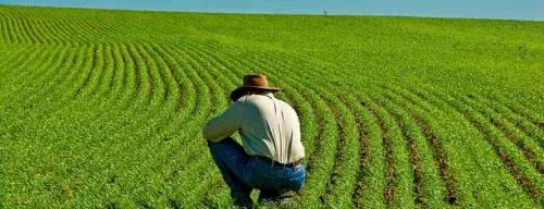 La terra dello Stato se fai il terzo figlio? Ecco come funzionerà