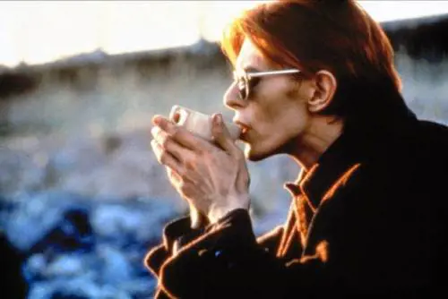 Ci estingueremo ridendo: Il futuro secondo Tevis