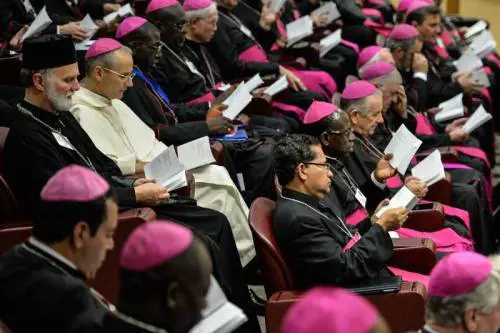 Sinodo, il cardinale Schoenborn: "Sui gay non potevamo decidere"