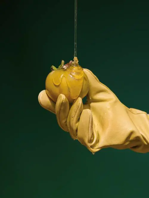Fondazione Fiera Milano: 100mila euro per acquisire opere d'arte a miart 2016