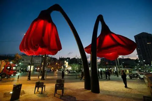 I papaveri che illuminano Gerusalemme