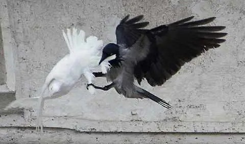 Il dossier di tre frati detective svelò al Papa i nomi dei corvi