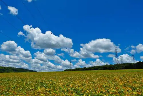 L'autunno tarda ad arrivare: "Un'anomala ondata di caldo"