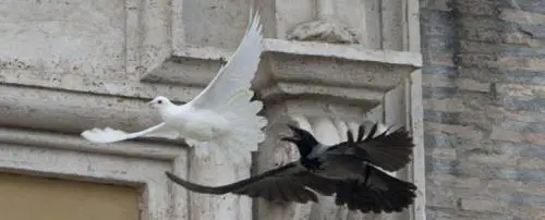 "I corvi? Erano insospettabili. Poi ci fu quello strano furto..."