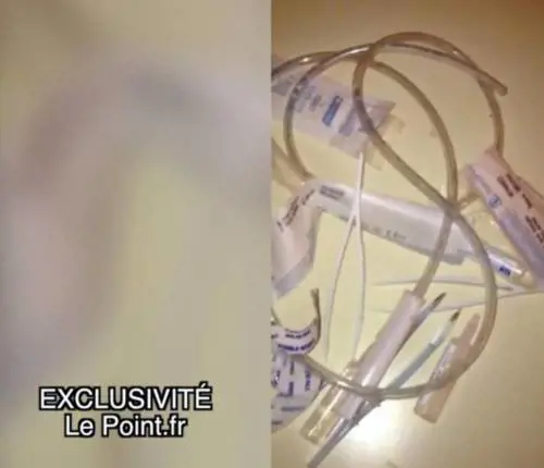 La droga dei terroristi: "Più concentrati e attivi"