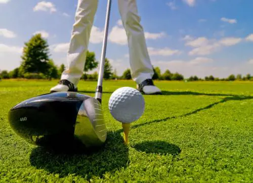 Modella di Playboy colpita sul lato B da una mazza da golf. Arriva il risarcimento