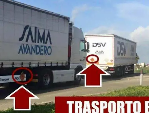 La denuncia: "Dalla Sardegna partono bombe dirette in Arabia Saudita"