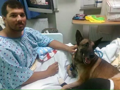 Il soldato e il suo cane-eroe. Feriti e ricoverati insieme