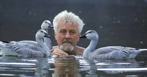 L'ossessione politicamente corretta ammazza la cultura e l'Università