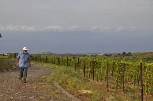 "Le mie bottiglie di vino aiutano a guarire"