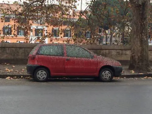 Roma è invasa dal guano degli uccelli