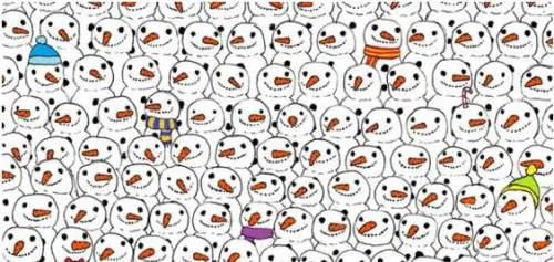 Il rompicapo che gira su internet: dov'è il panda?