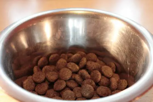 Vendeva croccantini del cane spacciandoli per eroina: arrestata