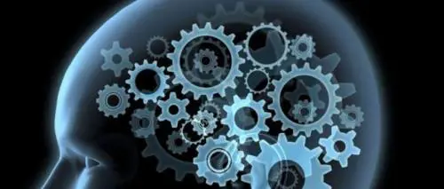 Ora parlare di intelligenza è politicamente scorretto