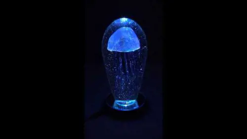 I gadget della tortura Lampade e gioielli con meduse sigillate