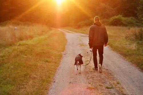 "Cane disturba la selvaggina". Padrona multata da Equitalia