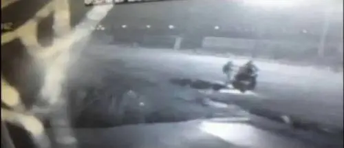 Napoli, l'assurda "moda" di lanciare i cani per aria