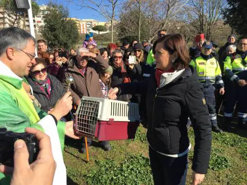 La Boldrini porta il gatto a farsi benedire