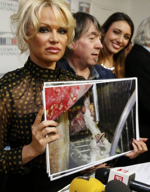 Pamela Anderson contro il foie gras