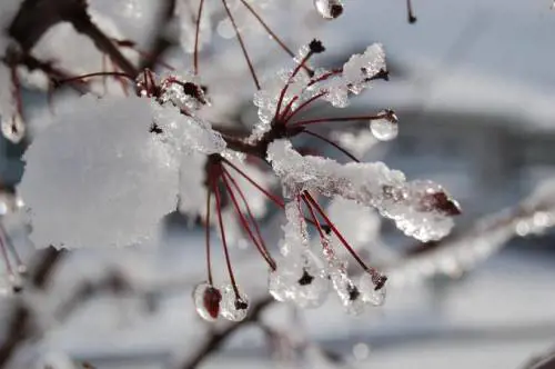 La mappa del maltempo per il week end
