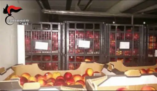 Vendono il cibo destinato ai poveri, maxi truffa all'Ue da 4 milioni di euro