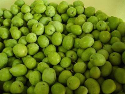 Olive verdi colorate con materiale tossico. Maxisequestro della forestale
